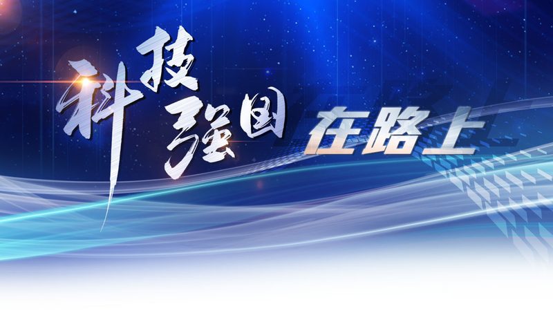 ERP系统迁移的成本构成分析
