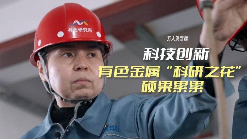 数据服务报价单自动计算：企业IT决策者的效率利器**